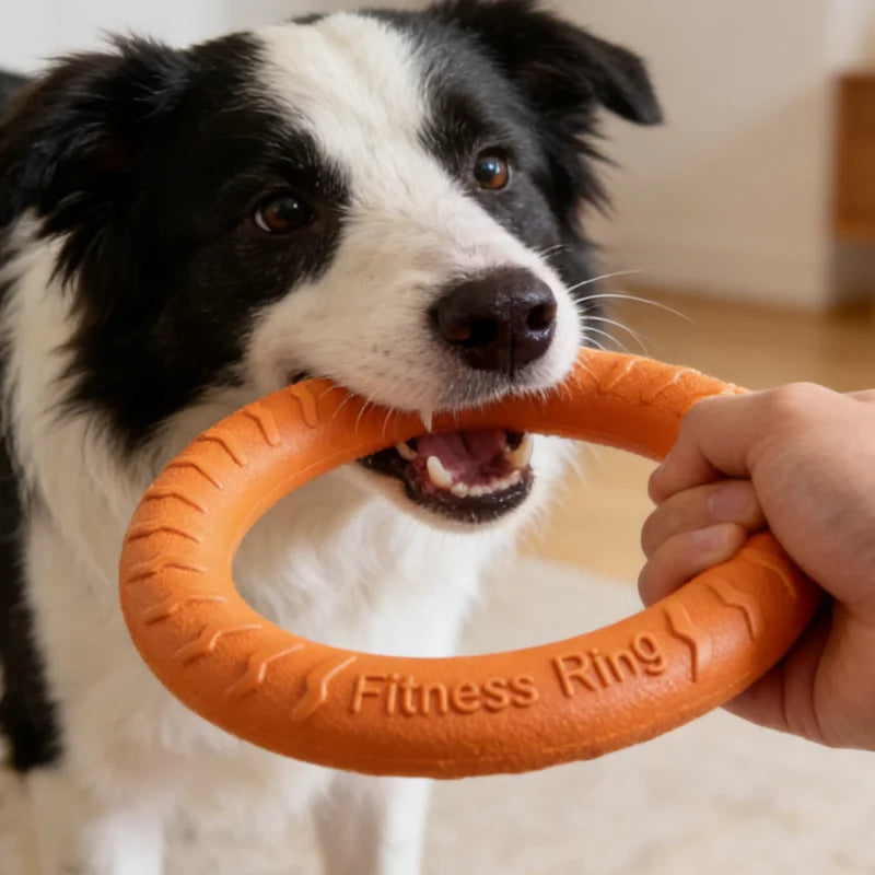 Dura Tug Interactive EVA Pull Ring