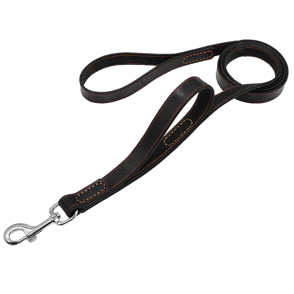 Classic Roam Genuine Leather Dog Leash