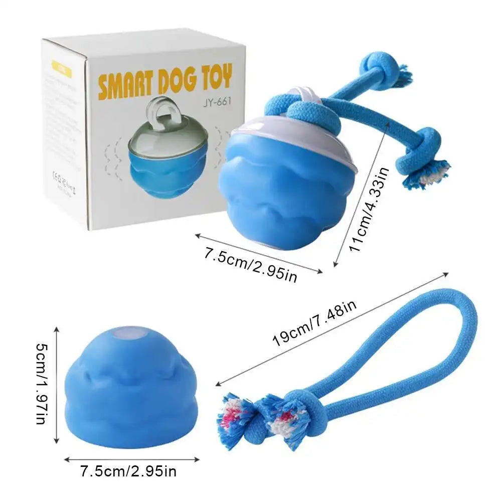 Smart Rolling Ball