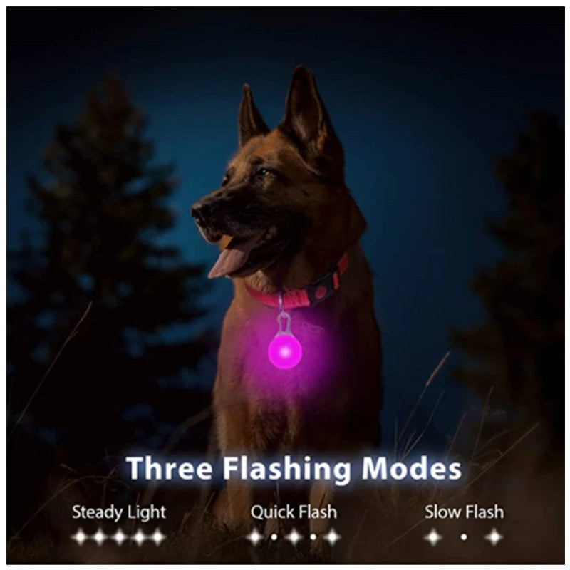 Safe Walk LED Glow Collar