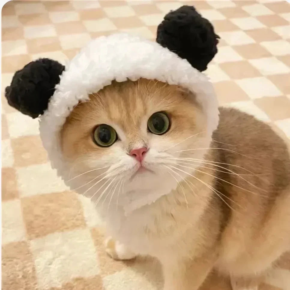 PetJoyHub™ Adorable Bear Plush Pet Hat