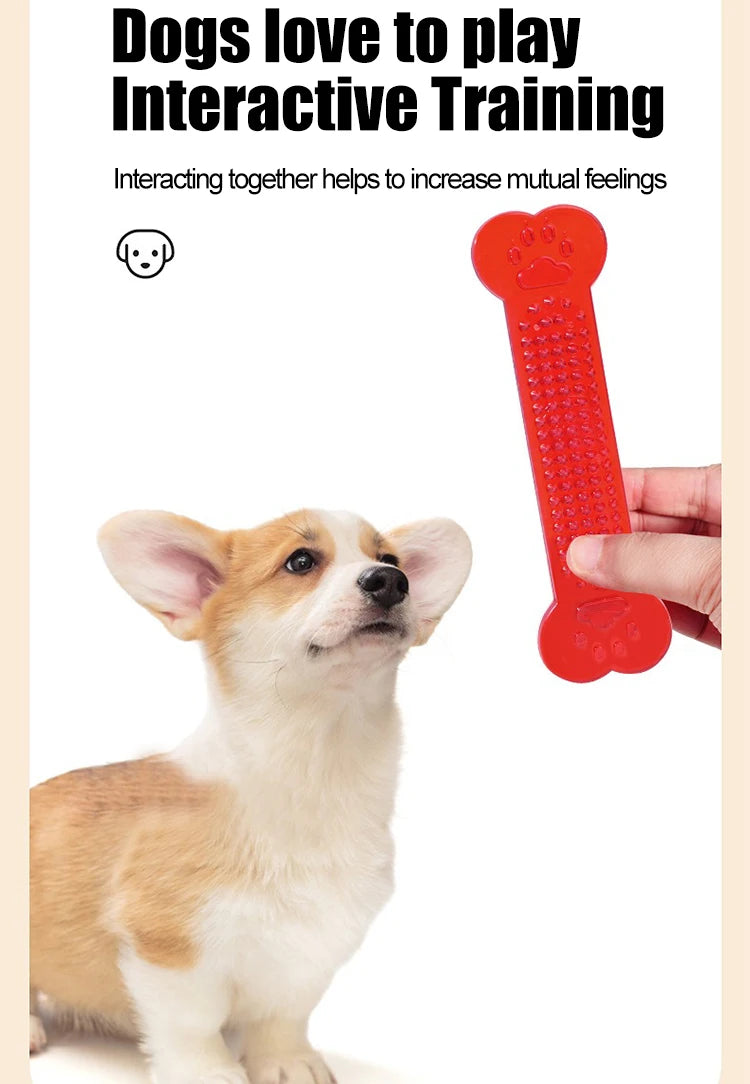 Tough Bone Interactive Chew & Teething Toy