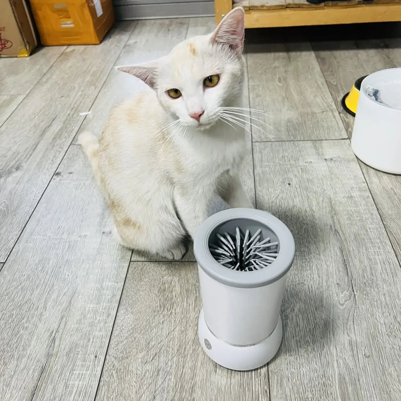 Mud Buster Automatic Paw Cleaner
