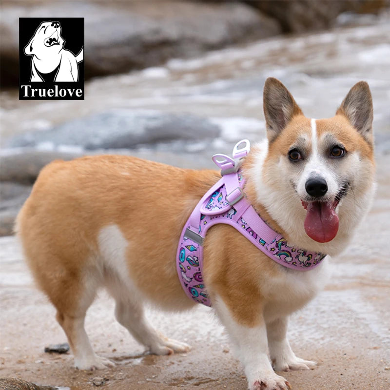Omni Leash 7-in-1 Reflective Lead