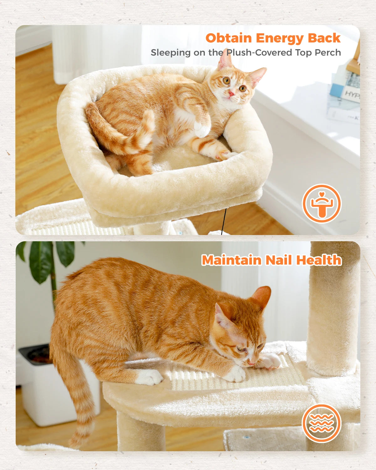 Urban Climb Premium Multi-Level Cat Tree