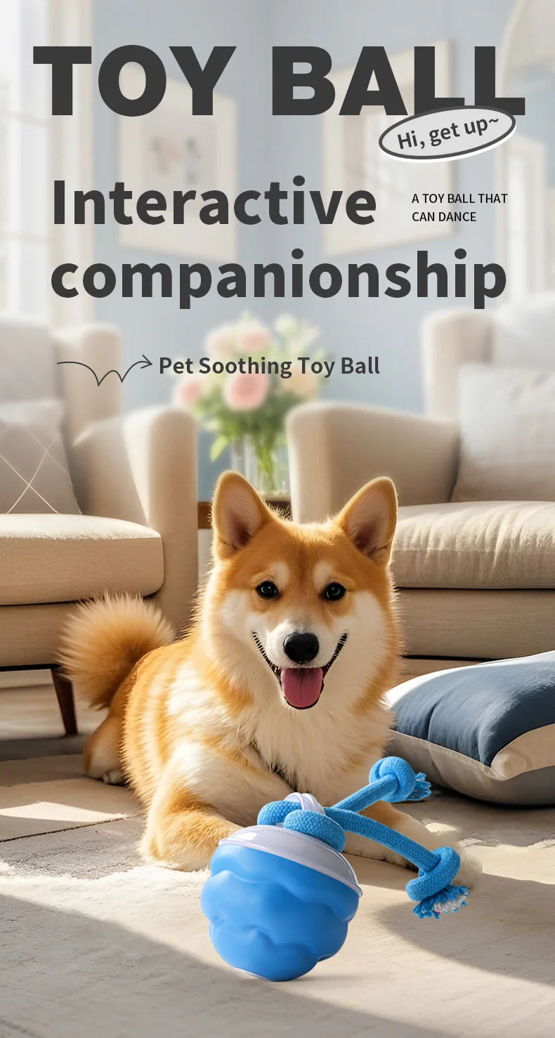 Smart Rolling Ball