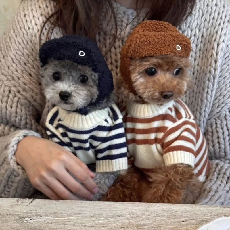 Cozy Bear Striped Luxury Dog Sweater