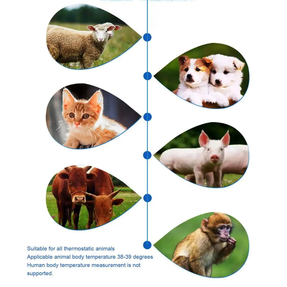 Vet Care Digital Infrared Pet Thermometer