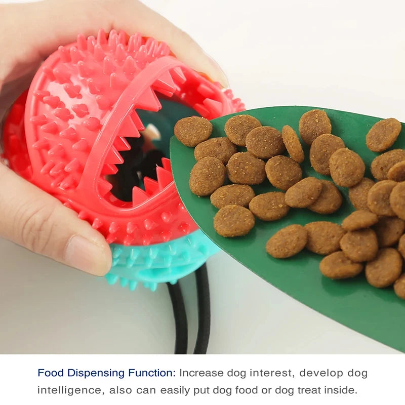 Titan Bounce Indestructible Dog Ball