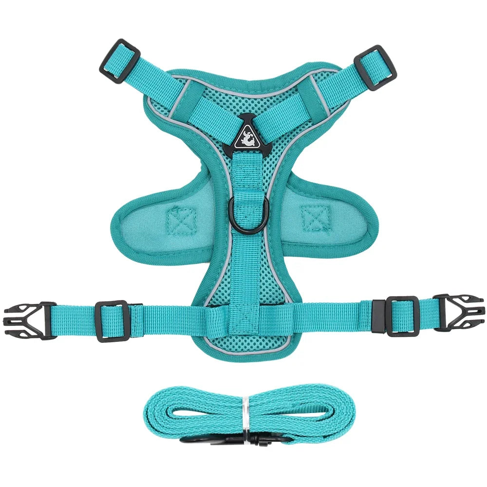 The Ultimate Breathable Cat Walking Harness