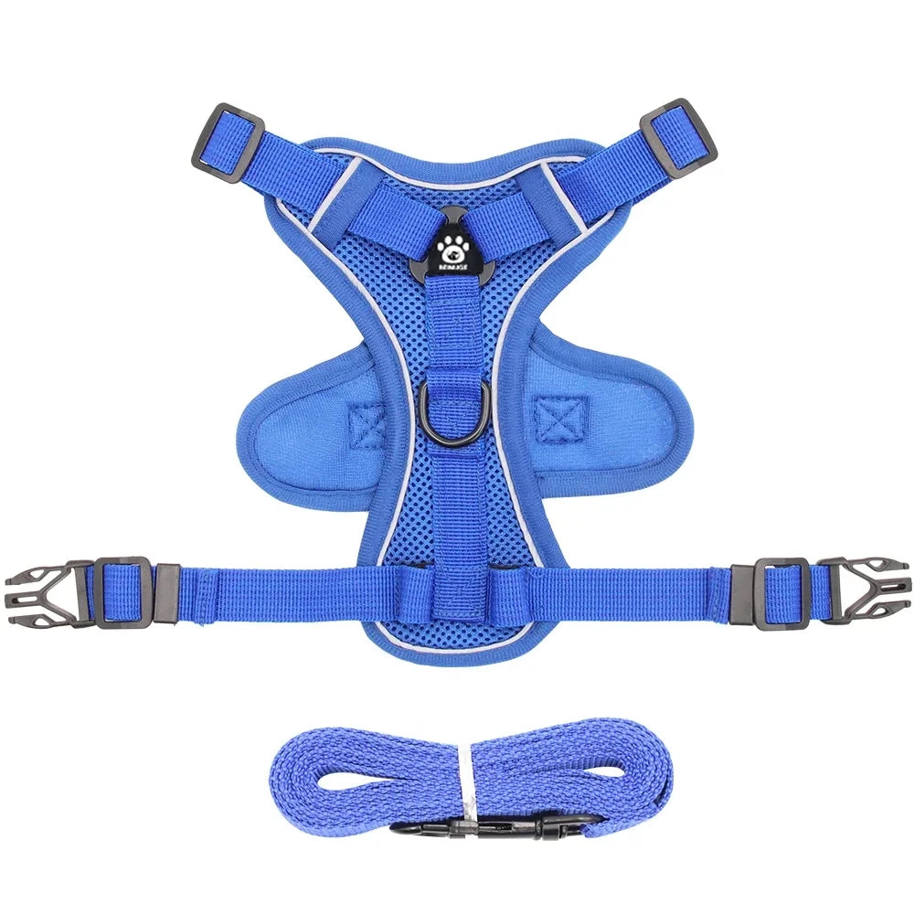 The Ultimate Breathable Cat Walking Harness