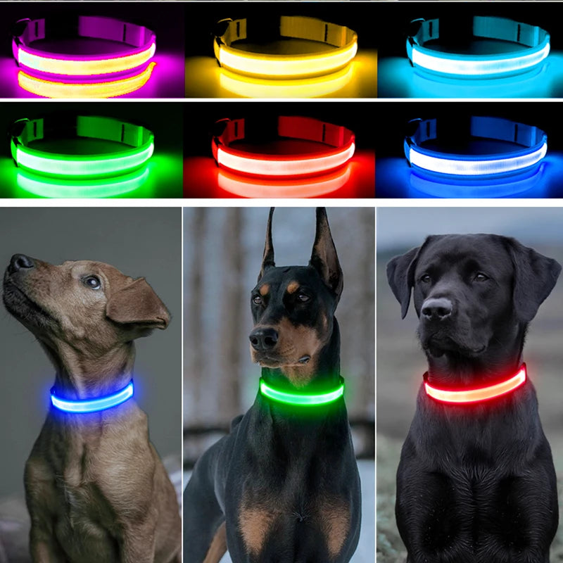 Safe Walk LED Glow Collar