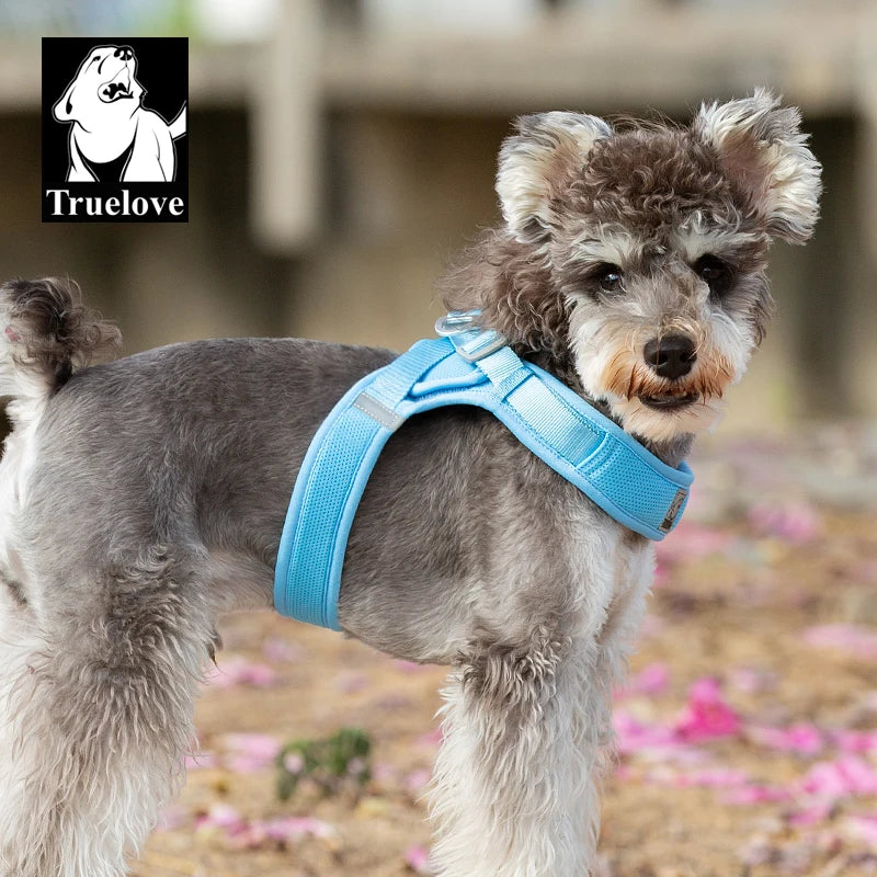 Omni Leash 7-in-1 Reflective Lead