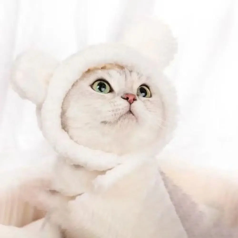 PetJoyHub™ Adorable Bear Plush Pet Hat