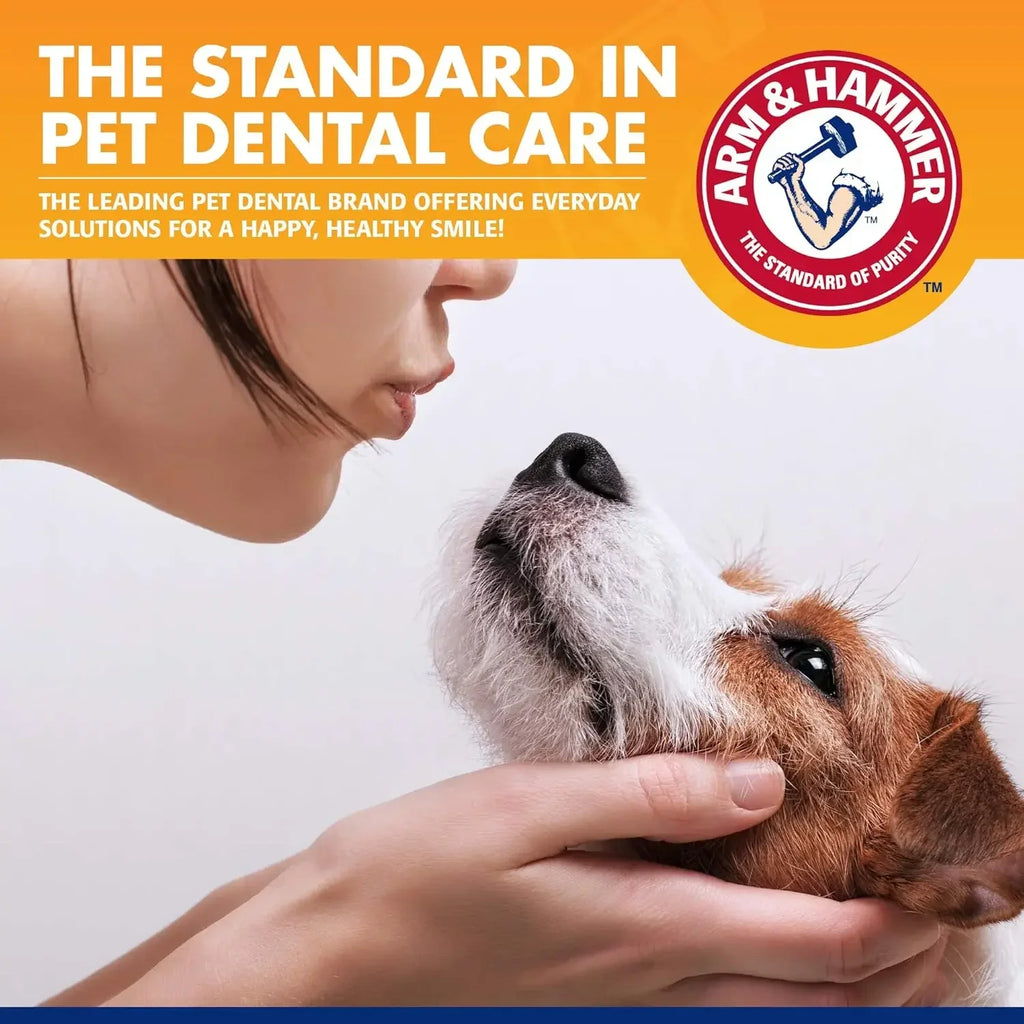 Sparkle Paws 5-in-1 Grooming & Cleaning Set