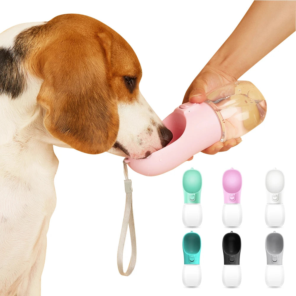 The Ultimate 2-in-1 Travel Water Bottle