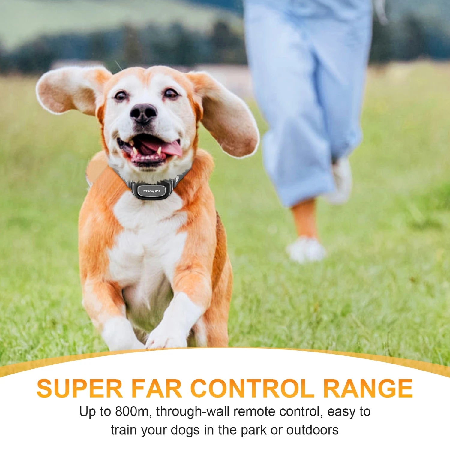 Pro Trainer 3-Mode Smart Dog Collar