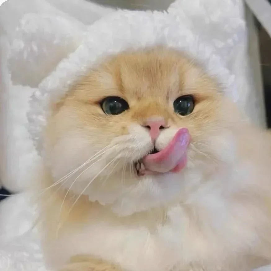 PetJoyHub™ Adorable Bear Plush Pet Hat