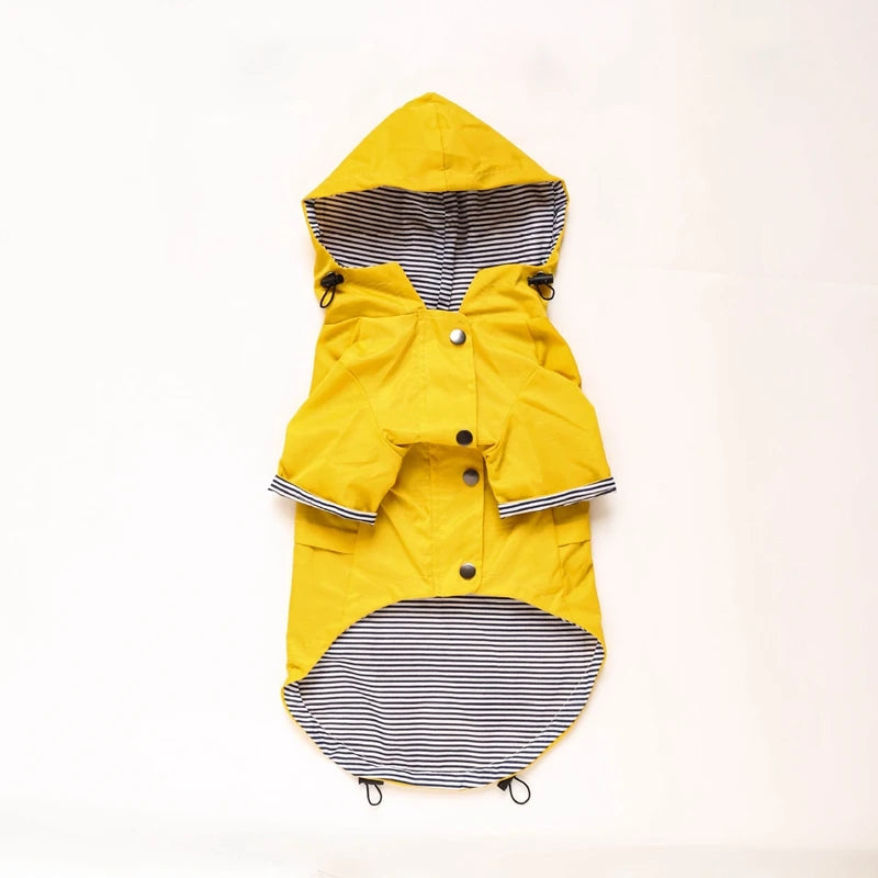 The Ultimate All-Weather Dog Jacket
