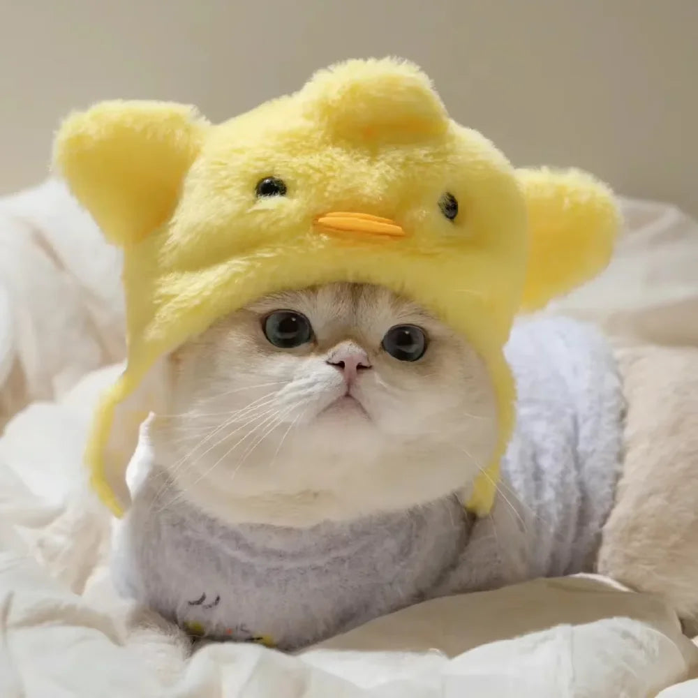PetJoyHub™ Adorable Bear Plush Pet Hat