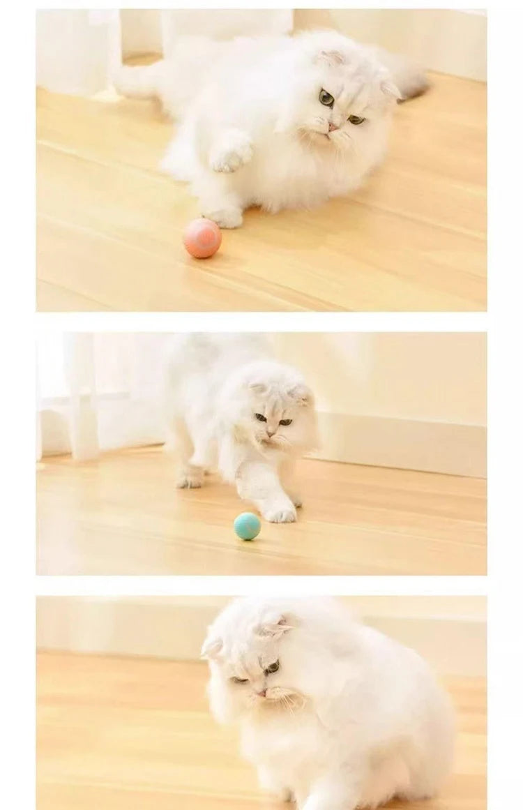Spin Kitty Smart Interactive Cat Ball