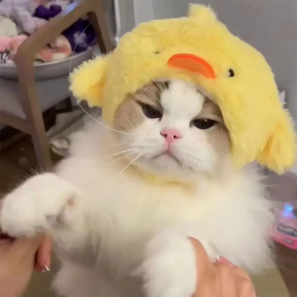 PetJoyHub™ Adorable Bear Plush Pet Hat