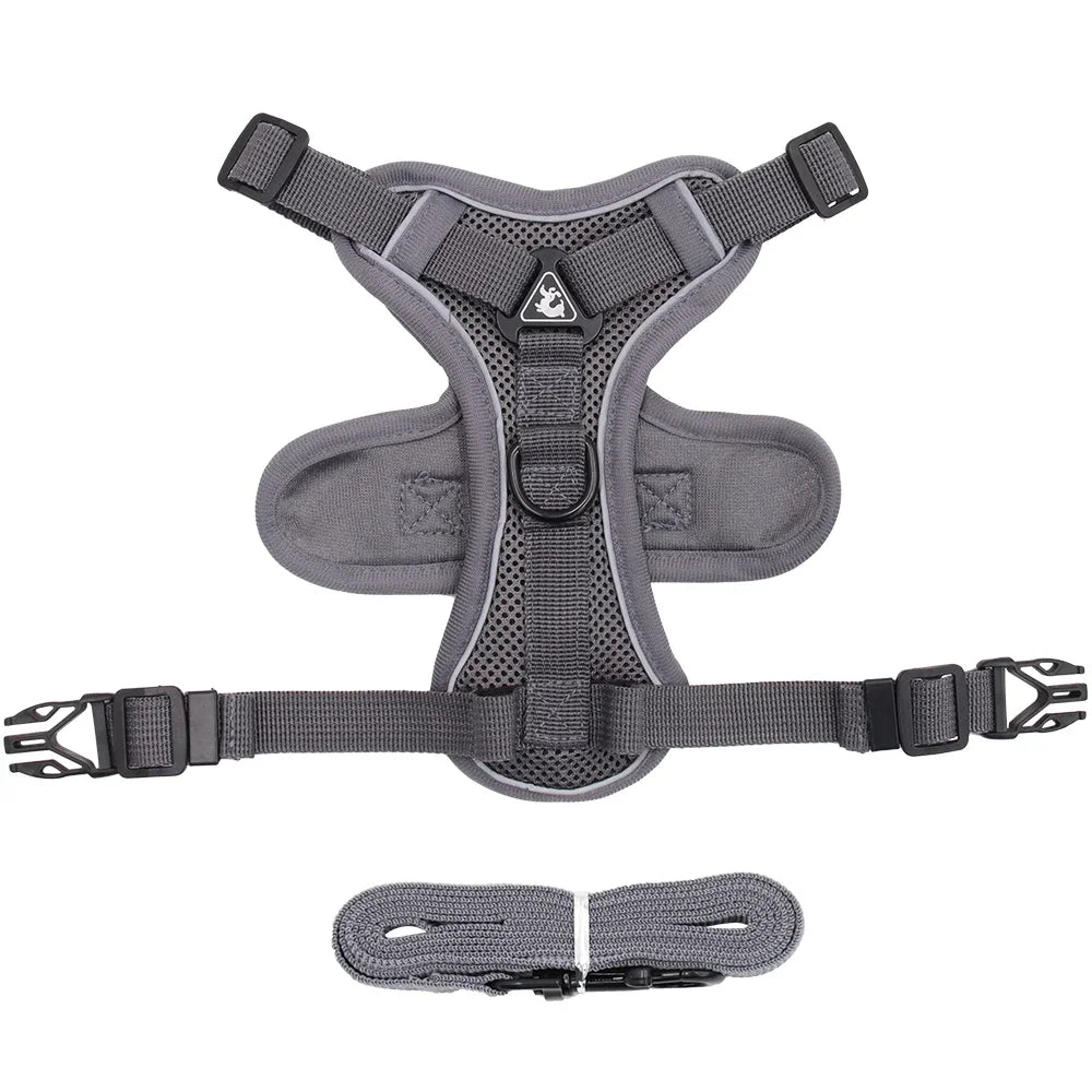 The Ultimate Breathable Cat Walking Harness