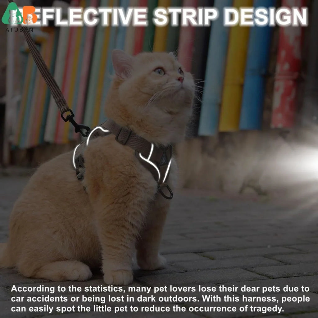 The Ultimate Breathable Cat Walking Harness