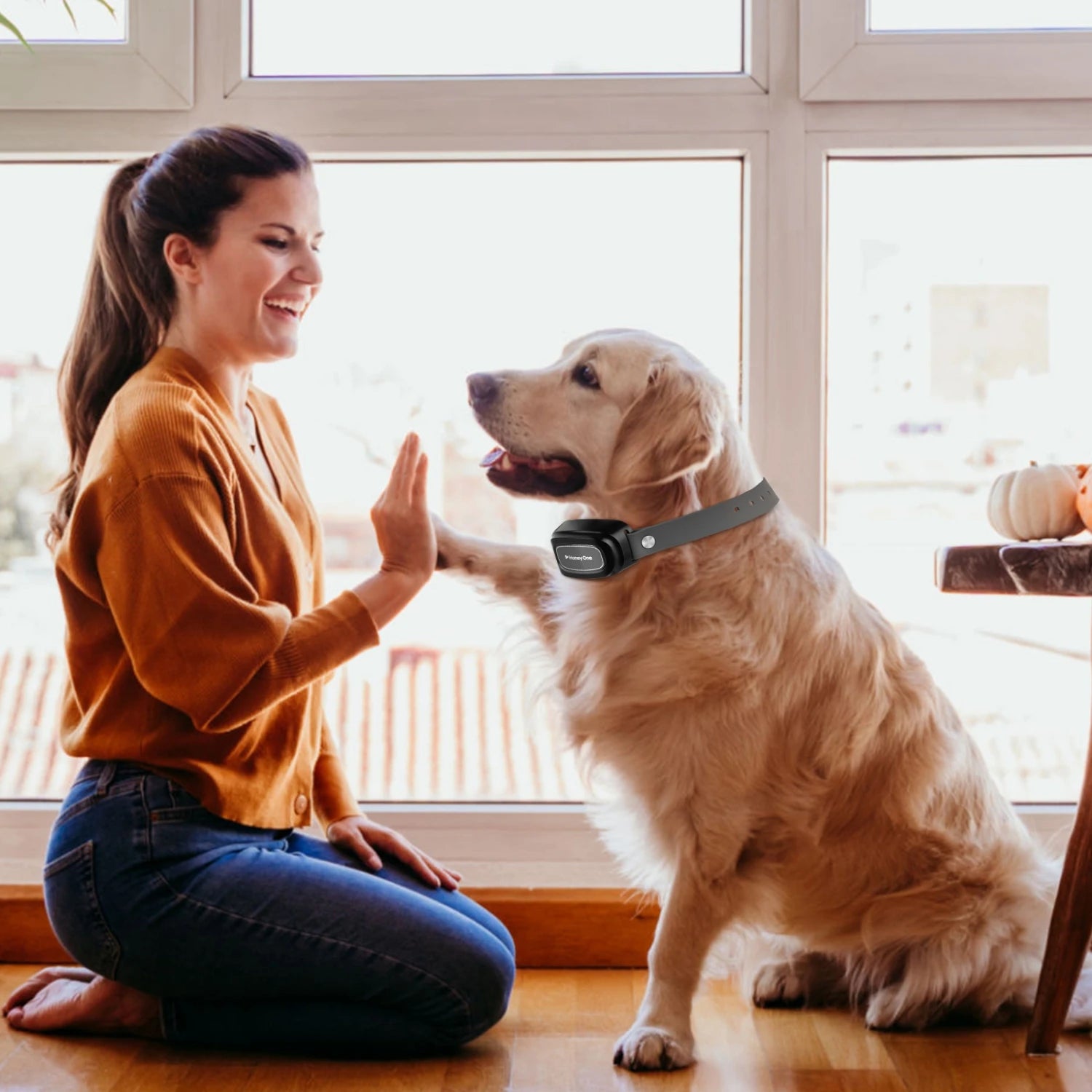 Pro Trainer 3-Mode Smart Dog Collar
