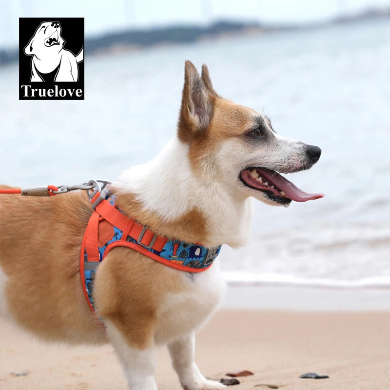 Omni Leash 7-in-1 Reflective Lead