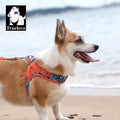 Omni Leash 7-in-1 Reflective Lead