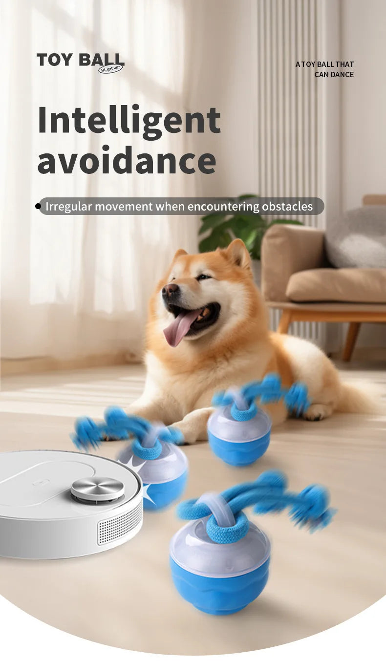 Smart Rolling Ball
