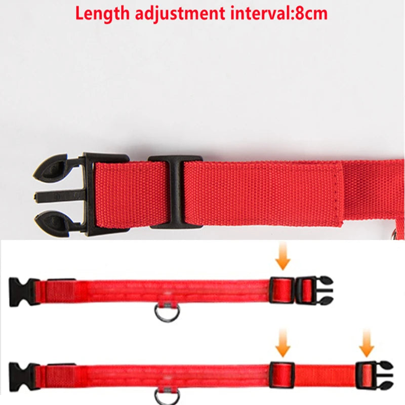 Safe Walk LED Glow Collar