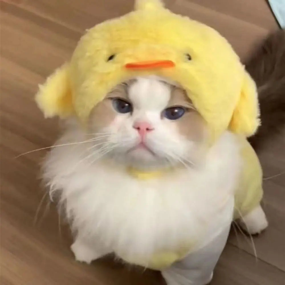 PetJoyHub™ Adorable Bear Plush Pet Hat