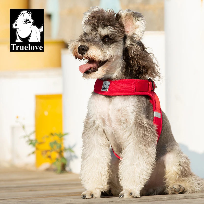 Omni Leash 7-in-1 Reflective Lead