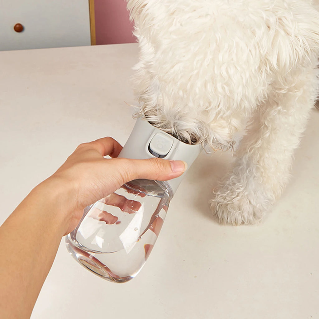 The Ultimate 2-in-1 Travel Water Bottle