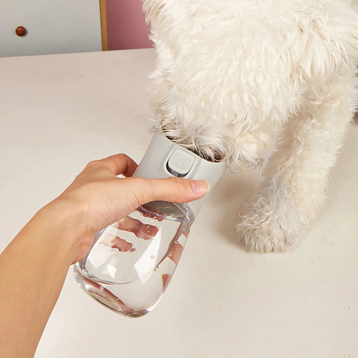 The Ultimate 2-in-1 Travel Water Bottle