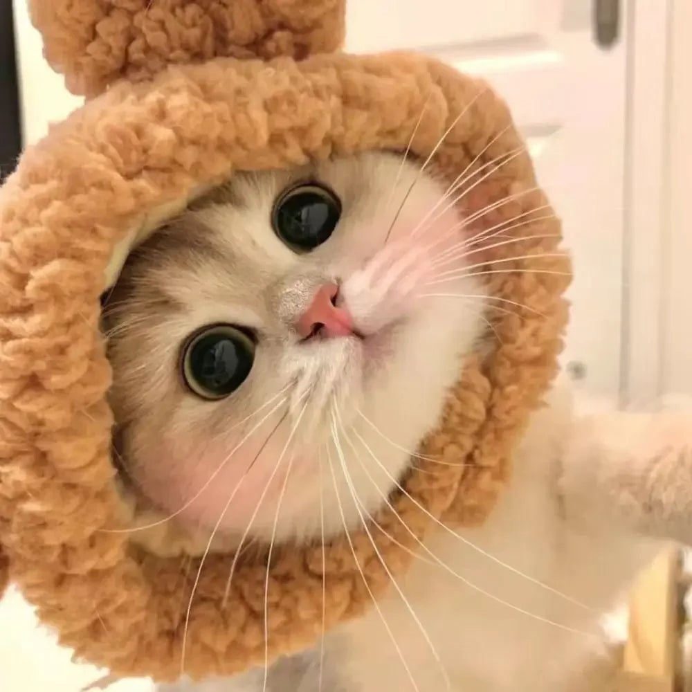 PetJoyHub™ Adorable Bear Plush Pet Hat
