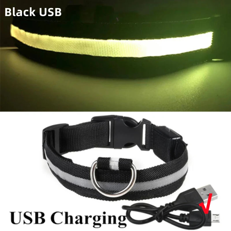 Safe Walk LED Glow Collar