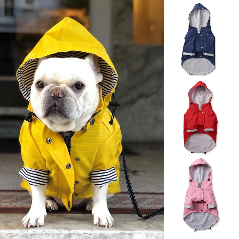 The Ultimate All-Weather Dog Jacket