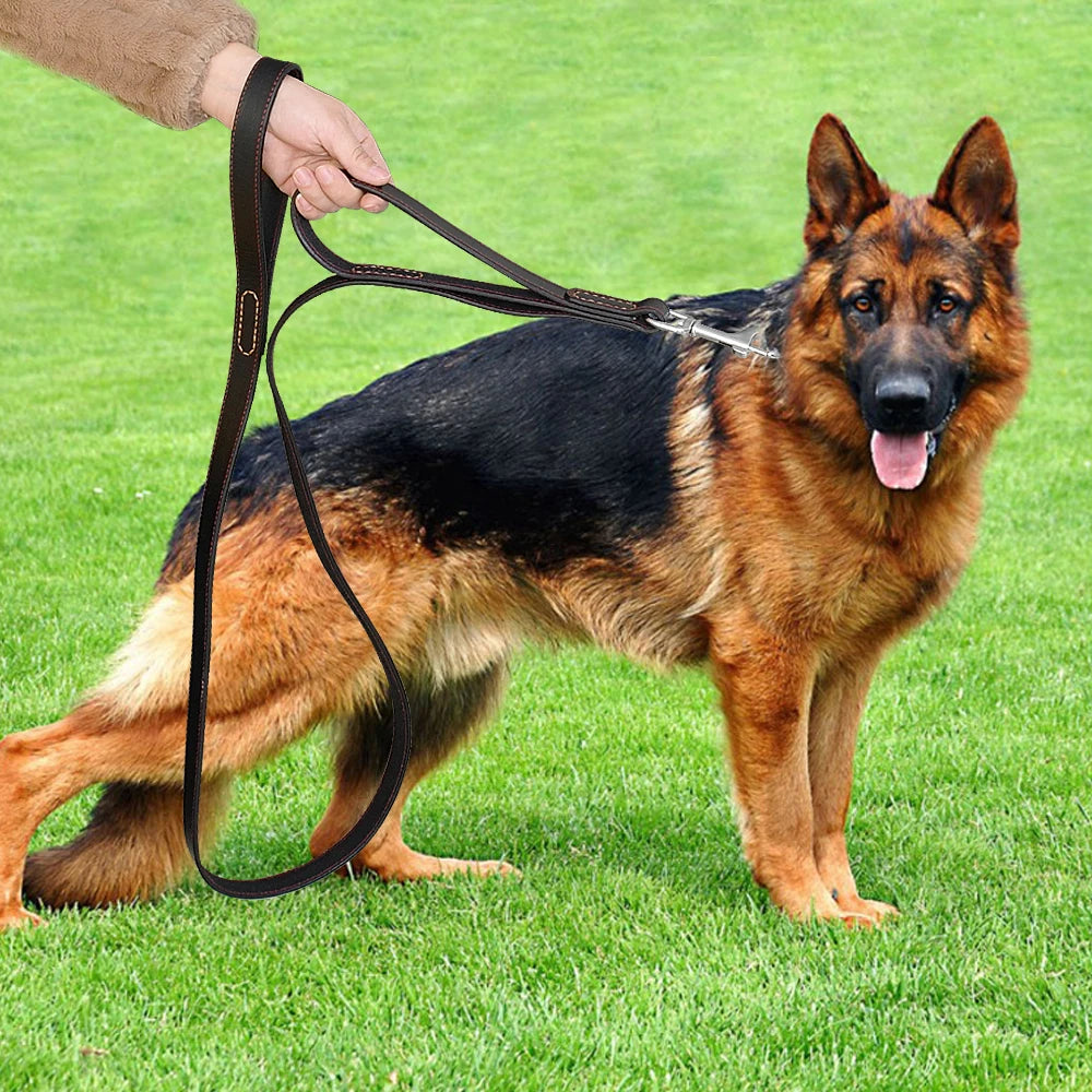 Classic Roam Genuine Leather Dog Leash