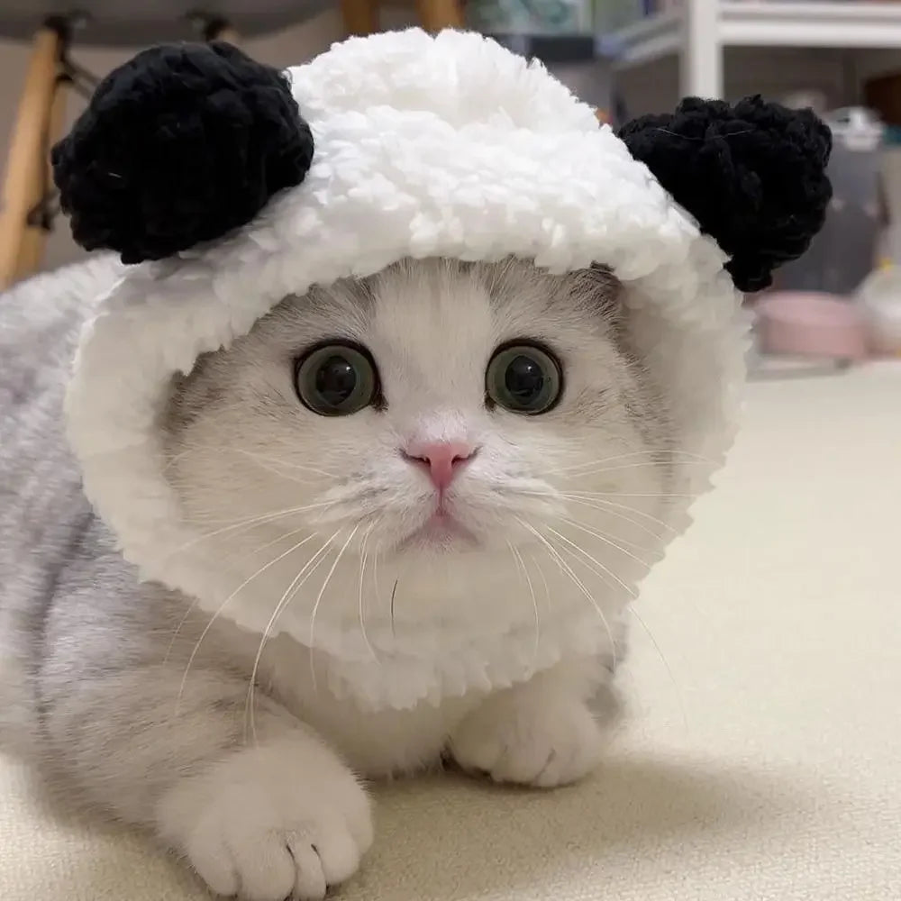 PetJoyHub™ Adorable Bear Plush Pet Hat