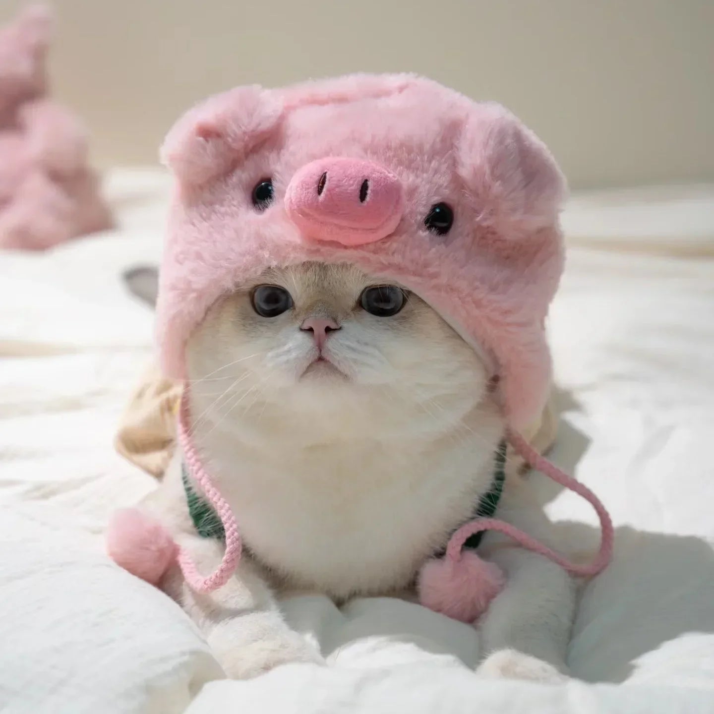 PetJoyHub™ Adorable Bear Plush Pet Hat