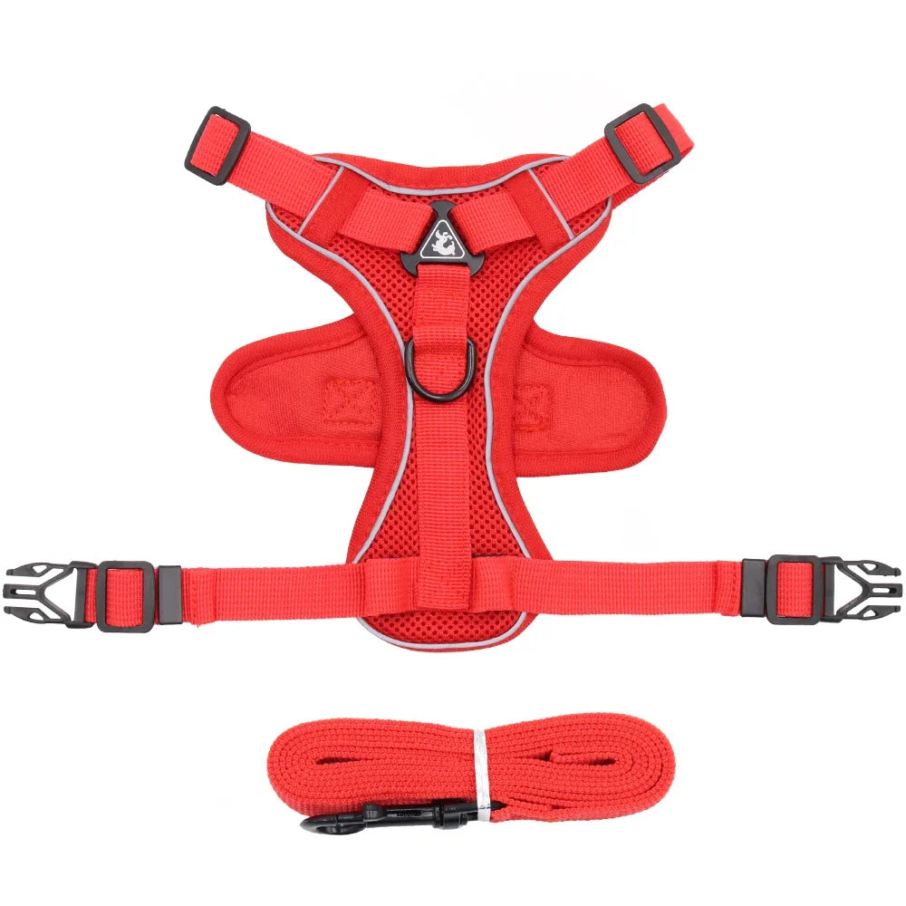 The Ultimate Breathable Cat Walking Harness