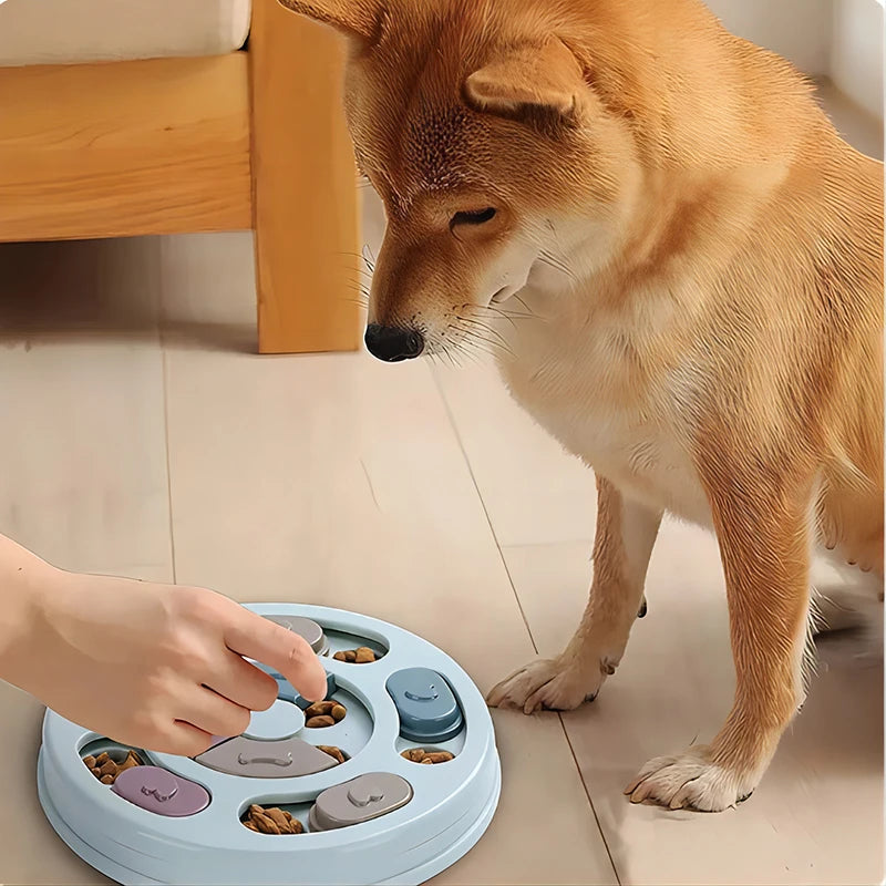 Interactive Slow Feeder & Brain Game | PuzzlePaw™