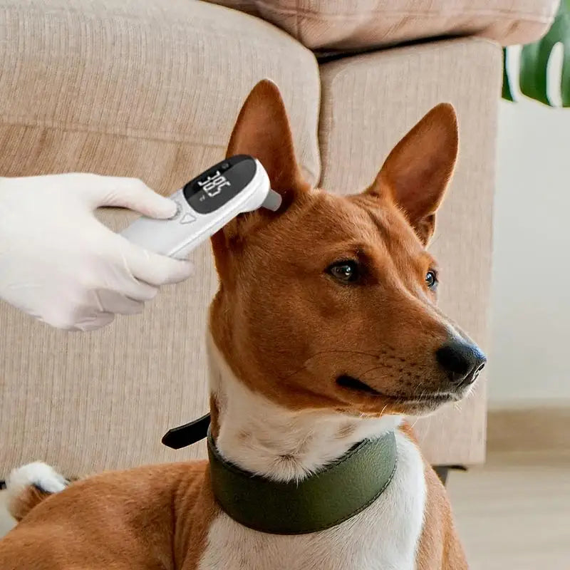 Vet Care Digital Infrared Pet Thermometer