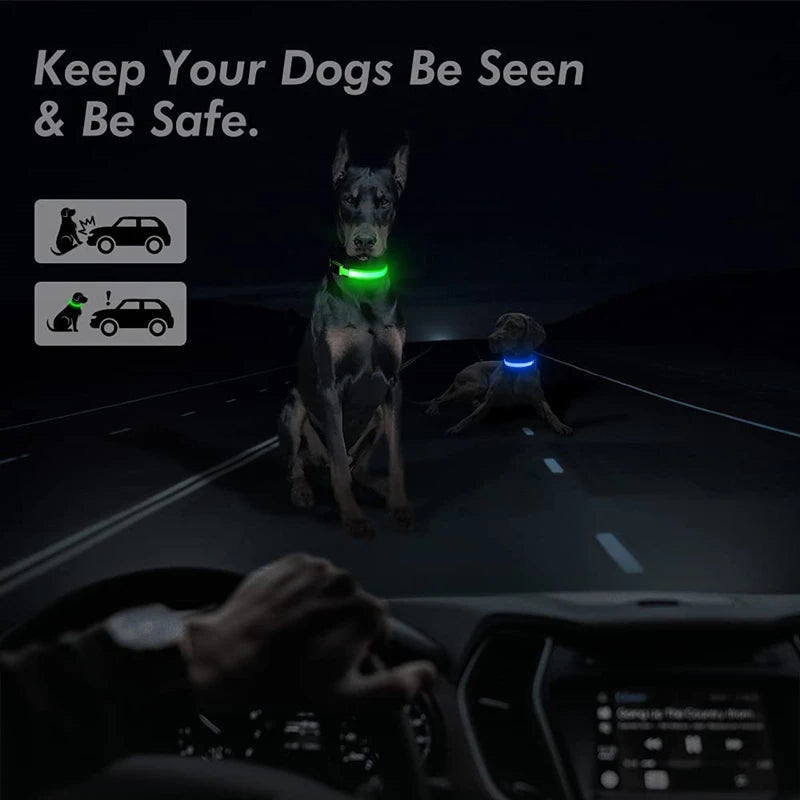 Safe Walk LED Glow Collar