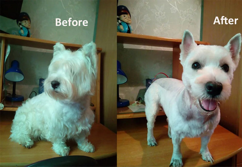 Pro Glide Whisper-Quiet Pet Grooming Clippers
