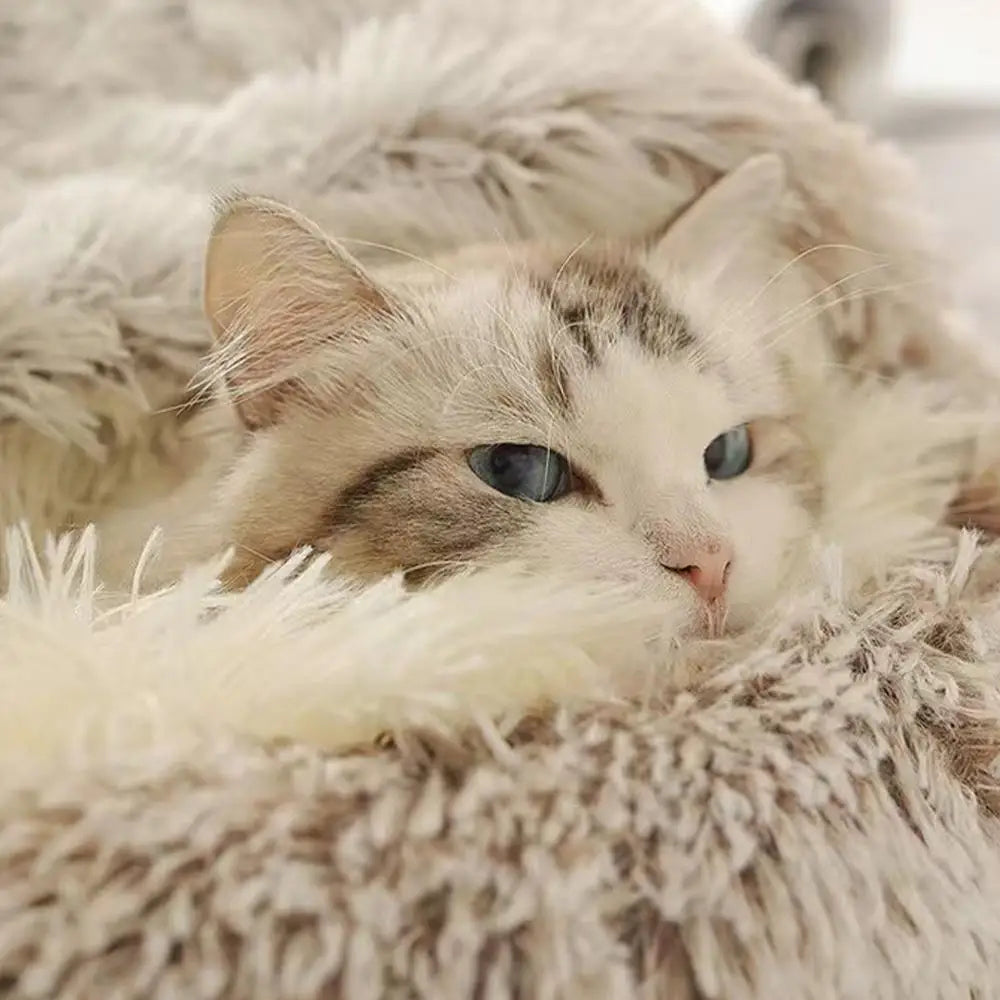 Snuggle Sphere Calming Pet Bed