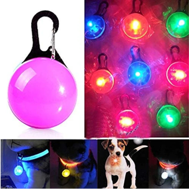 Safe Walk LED Glow Collar